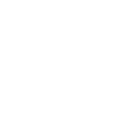 logo angular